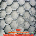 Top metal heat resisting Tortoise Shell Mesh(Factory)